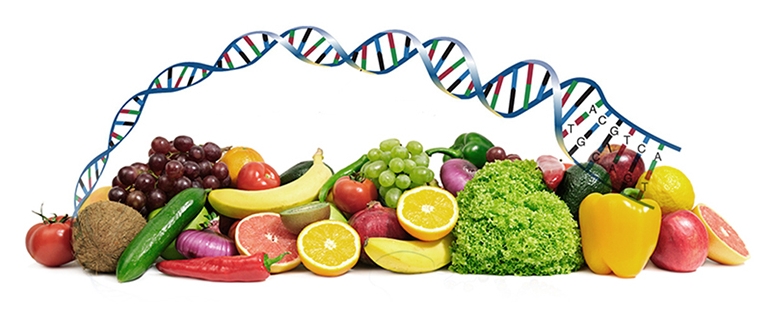 Nutrigenomica